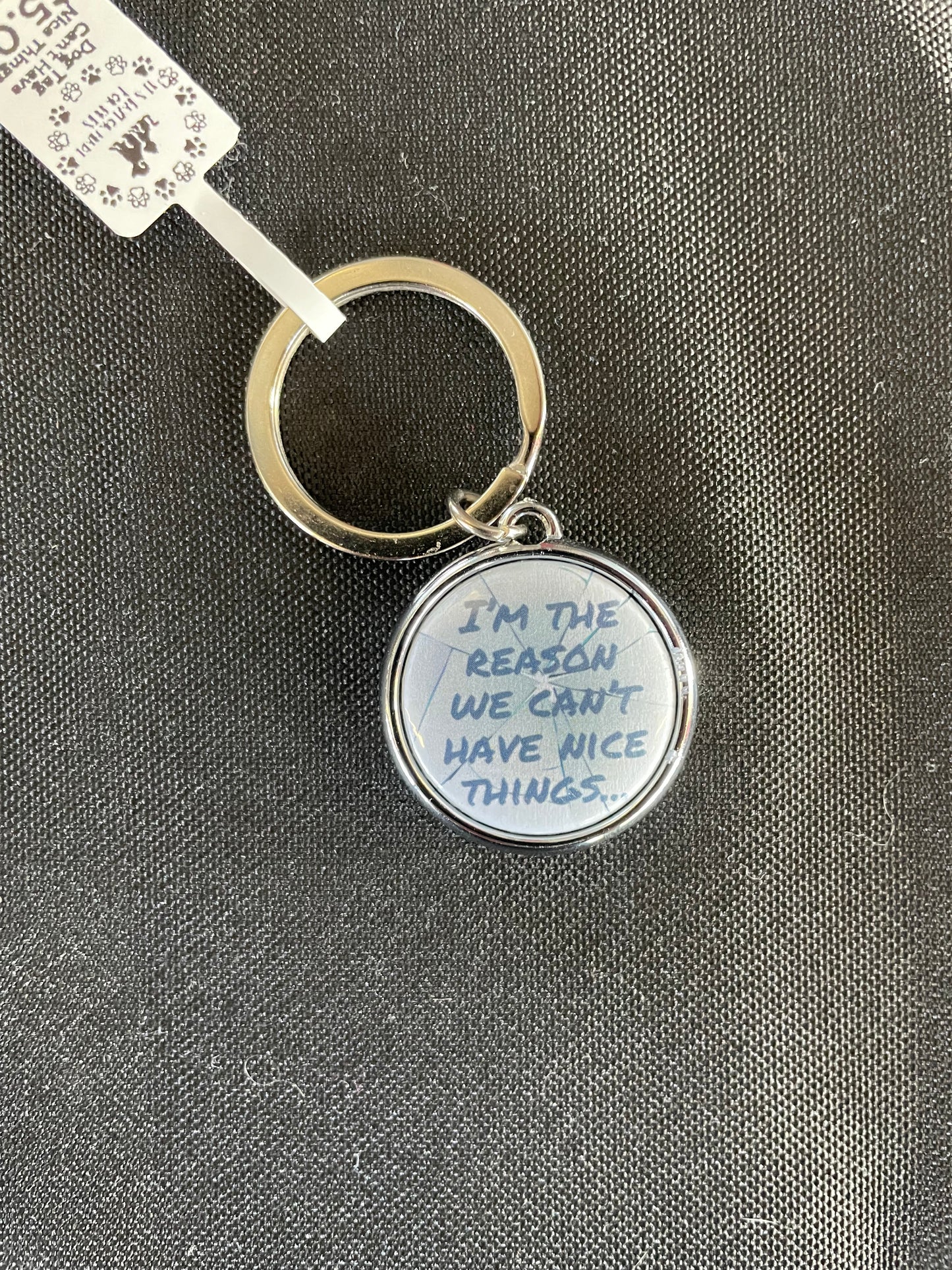 Dog Tag - Can’t have nice things