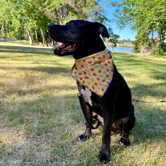 Standard Cotton Pet Bandanna - Watermelon Madness