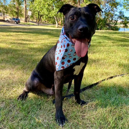 Standard Cotton Pet Bandanna - Coconut Craze