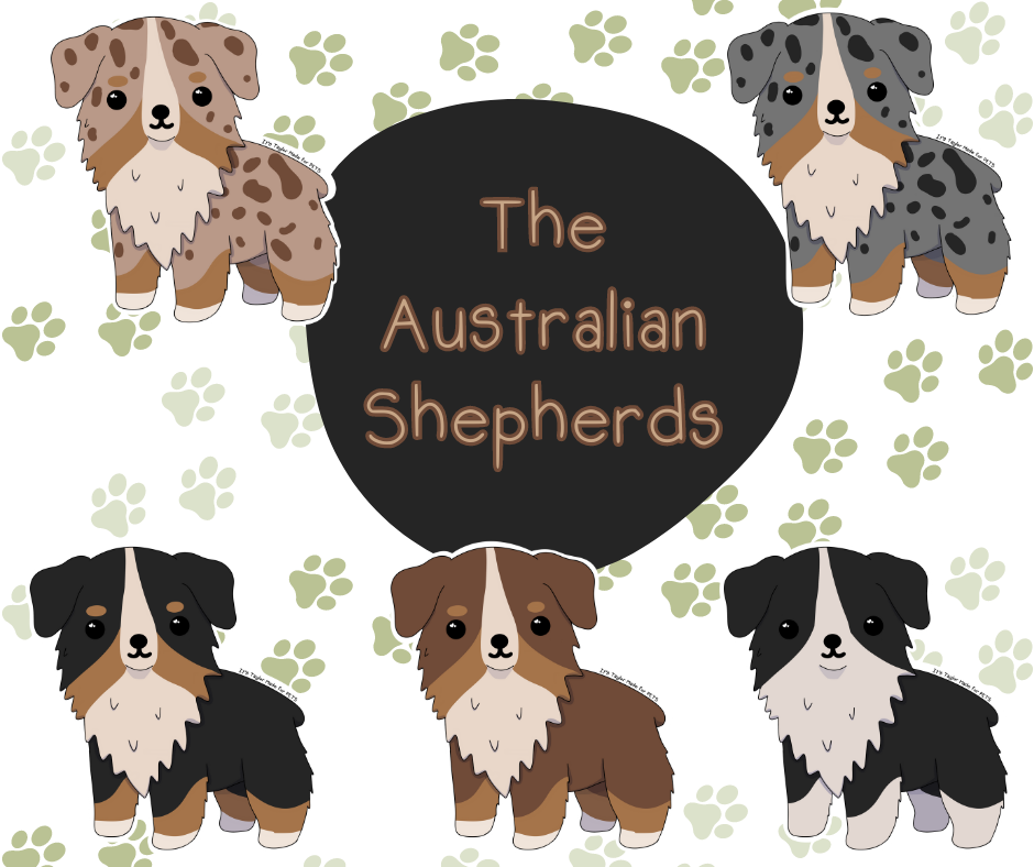 Australian Shepherd 3” Sticker