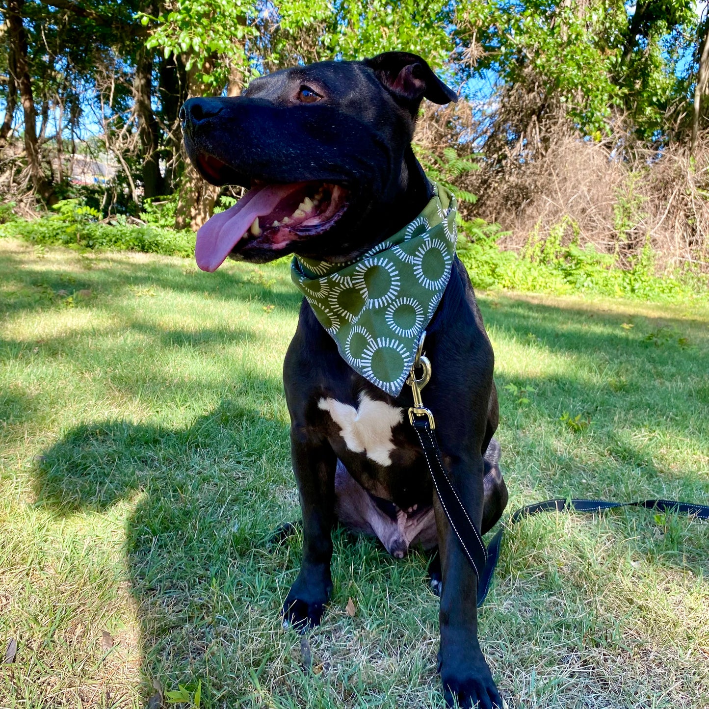 Standard Cotton Pet Bandanna - Mountain Mushroom