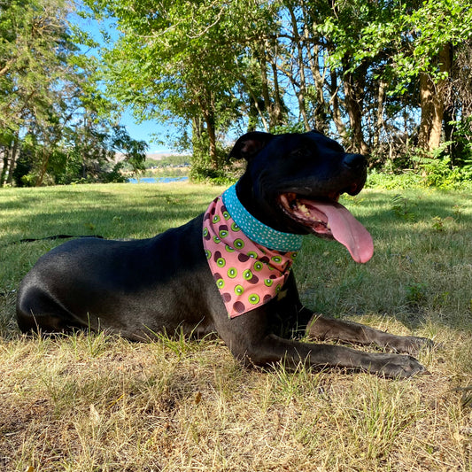 Standard Cotton Pet Bandanna - Kiwi Cabana