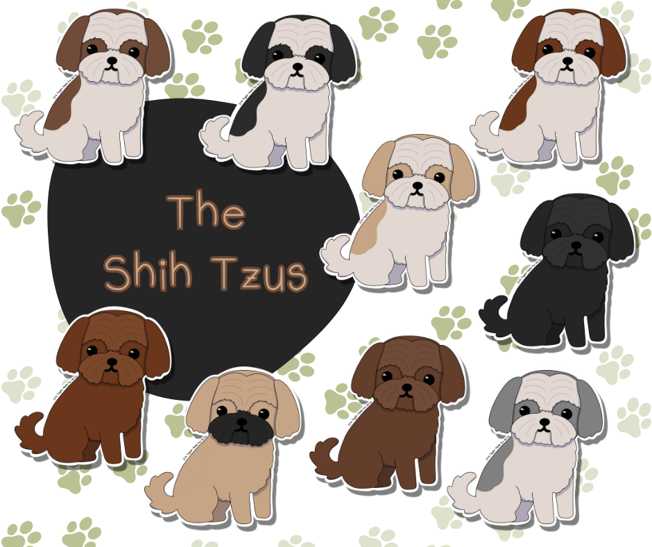 Shih Tzu 3” Sticker