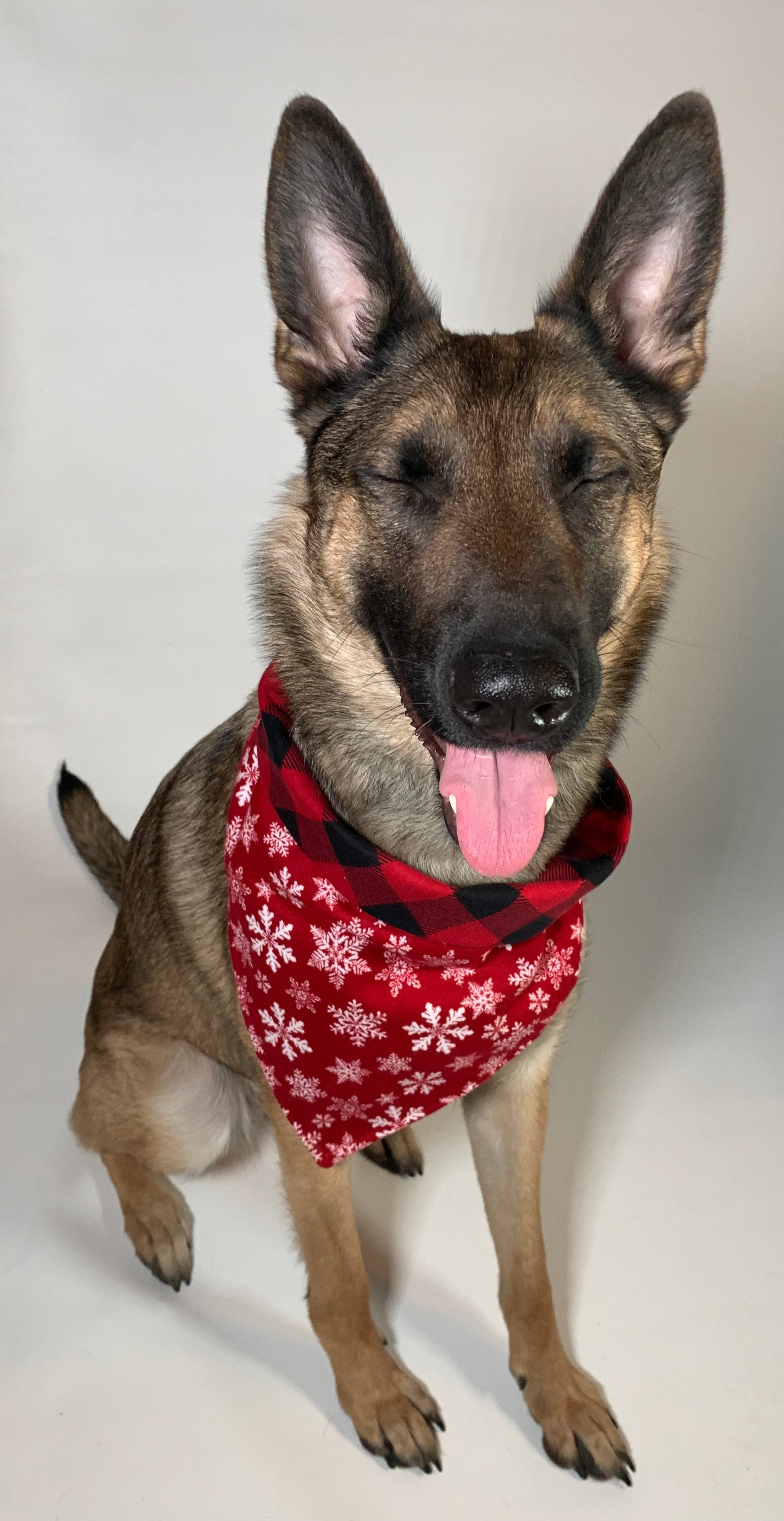 Eva wearing a bandanna that is red with white snowflakes on one side and red and black plaid on the other